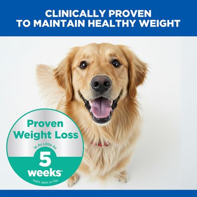 Hill's Science Plan Perfect Weight Adult 1+ Large with Chicken