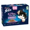 Felix Kitten As Good As It Looks Mixed Selection in Jelly (12 x 85g)
