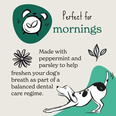 Text states: Perfect for mornings. Made with peppermint and parsley to help freshen your dog's breath as part of a balanced dental care regime.