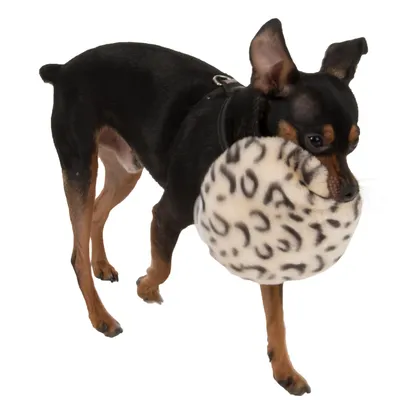 Hund trägt rundes Spielzeug mit Leopardenmuster im Maul.