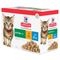 Hill's Science Plan Kitten Sparpaket: Fischauswahl (24 x 85 g)