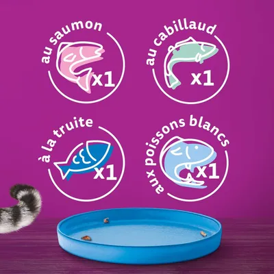 Illustrations avec texte : au saumon x1, au cabillaud x1, à la truite x1, aux poissons blancs x1. Gamelle bleue et queue de chat visibles en bas de l’image.