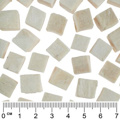 Wolf of Wilderness Mini RAW Freeze-dried Snacks Mixed Trial Pack - 2 Varieties: Salmon, Chicken (110g)