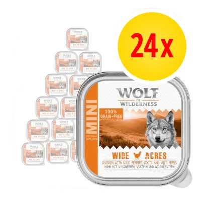 Pack of 24 Wolf of Wilderness Mini Wide Acres, 100% grain-free chicken with wild berries, roots and wild herbs, shown on product packaging.