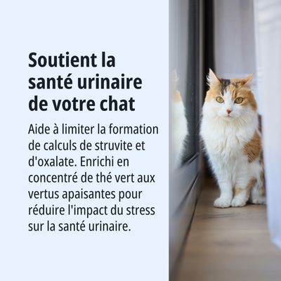 Favorise la santé des voies urinaires chez les chats, aide à limiter la formation de calculs de struvite et d’oxalate, contient du thé vert pour réduire le stress des voies urinaires.