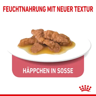 Texte en allemand : FEUCHTNAHRUNG MIT NEUER TEXTUR, HÄPPCHEN IN SOSSE. Assiette avec bouchées en sauce. Logo Royal Canin visible.