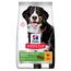 Hill's Science Plan Senior Vitality Large Breed met Kip Dubbelpak: 2 x 14 kg