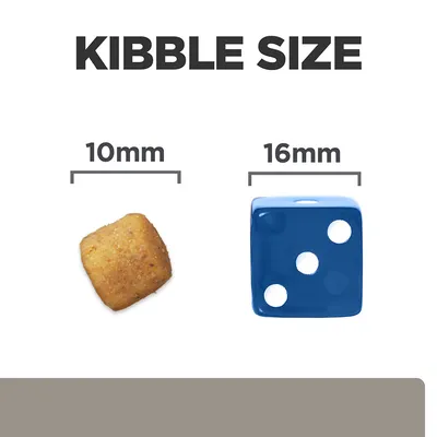 Kibble Size felirat, balra 10 mm-es táp szemcse, jobbra 16 mm-es kék dobókocka méretösszehasonlításként.