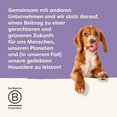 Gemeinsam mit anderen Unternehmen Beitrag zu gerechterer und grünerer Zukunft für Menschen, Planeten und Haustiere. Zertifizierte B Corporation.