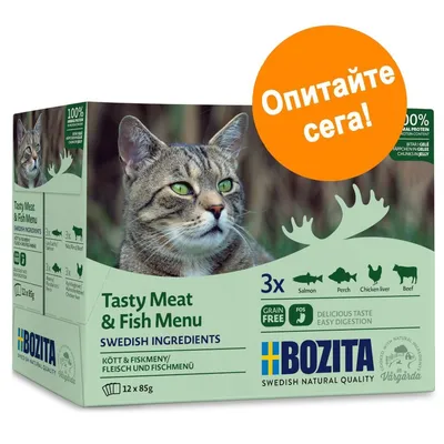 BOZITA Tasty Meat & Fish Menu за котки, 12×85 г. Видими икони: сьомга, костур, пилешки дроб, говеждо. Оранжев кръг с текст: Опитайте сега! BOZITA Tasty Meat & Fish Menu за котки, 12×85 г. Видими икони: сьомга, костур, пилешки дроб, говеждо. Оранжев кръг с текст: Опитайте сега!