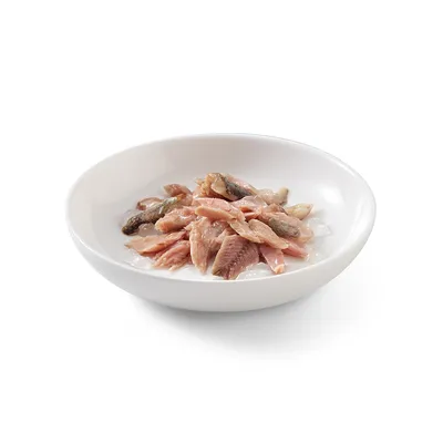 Morceaux de poisson rose et gris dans une assiette blanche, présentés nature sans emballage ni marque visible.