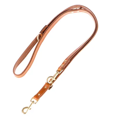 Brown leather dog lead with gold-coloured metal fastenings and adjustable length.