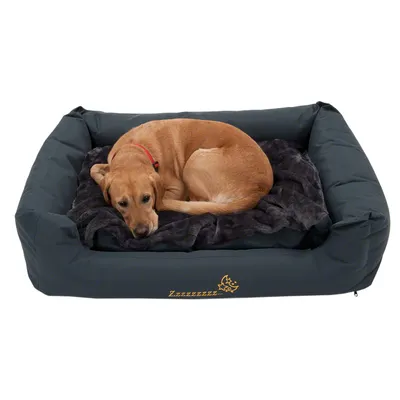 Dog lying in a dark grey dog bed with a soft blanket. The bed features a yellow 'Zzzzzzzz...' inscription and a sleeping dog graphic. Dog lying in a dark grey dog bed with a soft blanket. The bed features a yellow 'Zzzzzzzz...' inscription and a sleeping dog graphic.