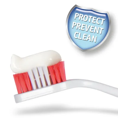 Toothbrush with toothpaste and a badge reading 'Protect Prevent Clean', highlighting cleaning and protective benefits.