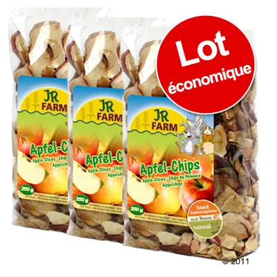 Lot économique de 3 sachets JR Farm Apfel-Chips, chips de pommes, chaque sachet 250 g. Texte visible : Snack, natural, Apple Slices, Chips de Pommes. Lot économique de 3 sachets JR Farm Apfel-Chips, chips de pommes, chaque sachet 250 g. Texte visible : Snack, natural, Apple Slices, Chips de Pommes.