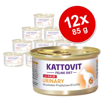 Lot de 12 boîtes Kattovit Feline Diet Urinary mit Kalb, 85 g chacune. Texte visible : Struvitstein-Prophylaxe (FLUTD). Illustration de chat sur l’emballage.