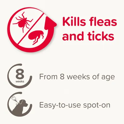 Kills fleas and ticks, suitable from 8 weeks of age, easy-to-use spot-on application shown in diagram.