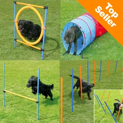 Sada agility překážek pro psy: kruh, tunel, skoková tyč a slalomové tyče. V rohu oranžový nápis Top Seller. Sada agility překážek pro psy: kruh, tunel, skoková tyč a slalomové tyče. V rohu oranžový nápis Top Seller.