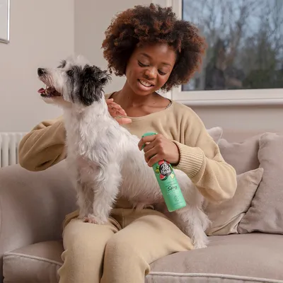 Hund wird mit Pet Head Spray gepflegt. Grünes Produktfläschchen sichtbar.