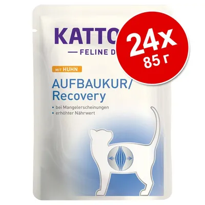 Kattovit Feline Diet Aufbaukur/Recovery с пиле, 24x85 г. Видим текст: bei Mangelerscheinungen, erhöhter Nährwert. Kattovit Feline Diet Aufbaukur/Recovery с пиле, 24x85 г. Видим текст: bei Mangelerscheinungen, erhöhter Nährwert.