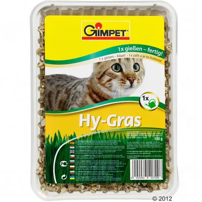 Gimpet Hy-Gras, opakowanie 150 g. Widoczny napis: 1x gießen – fertig! oraz zdjęcie kota na żółtym tle. Produkt w plastikowym pojemniku z przezroczystą pokrywką.