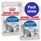 Oferta: Royal Canin pack mixto salsa y gelatina 24 x 85 g Indoor Sterilised en salsa y en gelatina