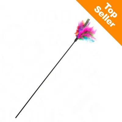 Baguette noire avec plumes multicolores à une extrémité, texte en haut à droite : Top Seller Baguette noire avec plumes multicolores à une extrémité, texte en haut à droite : Top Seller