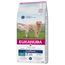 Pack Ahorro: Eukanuba 2 x 12/15 kg o 3 x 3 kg Daily Care Overweight - 2 x 12 kg