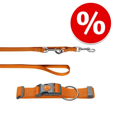 Orangefarbene Hundeleine mit Metallkarabiner und passendem Halsband. Rotes Rabatt-Symbol mit Prozentzeichen sichtbar.