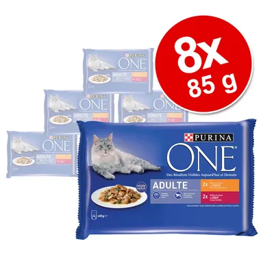 Purina ONE Adult Katzenfutter, 8x85g Beutel, Geschmacksrichtungen Huhn und Rind, sichtbare Ergebnisse heute und morgen.