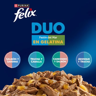 Felix Fantastic Doblemente Bueno 12 x 85 g - Carbonero y salmón, salmón y sardinas, arenque y trucha, trucha y caballa