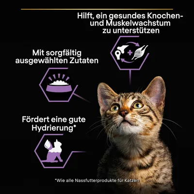 Hilft, ein gesundes Knochen- und Muskelwachstum zu unterstützen. Mit sorgfältig ausgewählten Zutaten. Fördert eine gute Hydrierung. Hinweis: Wie alle Nassfutterprodukte für Katzen.