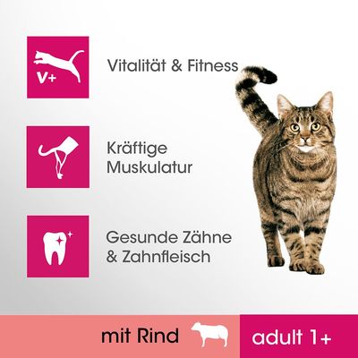 Tekst na njemačkom: Vitalität & Fitness, Kräftige Muskulatur, Gesunde Zähne & Zahnfleisch, mit Rind, adult 1+. Prikazana tigrasta mačka.