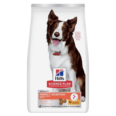 Lot de 2 sacs Hill's Science Plan Adult 1–6 Medium 11–25 kg, poulet. Texte visible : 'Supports immunity, healthy digestion and lean muscles in adult dogs'.