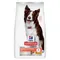 Hill's Science Plan Perfect Digestion Adult 1+ Medium Pui & orez brun 2 x 14 kg