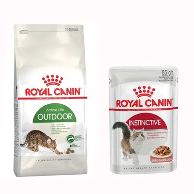 Małe opakowanie Royal Canin Special Care + 12 x 85 g karma mokra Royal Canin - Outdoor 30, 4 kg + Instinctive w sosie, 12 x 85 g