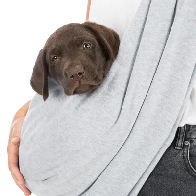 Chien marron dans un porte-animal en tissu gris porté sur l’épaule d’une personne, vue rapprochée du produit en utilisation.