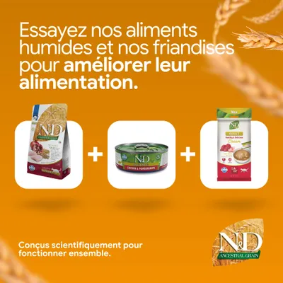 N&D Ancestral Grain croquettes, N&D Prime poulet & grenade nourriture humide et N&D adulte crème. Développé scientifiquement pour une nutrition optimale.