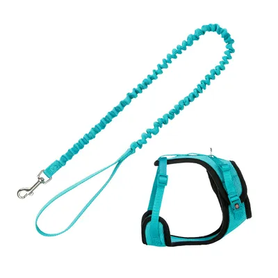 Trixie Mesh Y-Harness with Elastic Leash - turquoise Trixie Mesh Y-Harness with Elastic Leash - turquoise