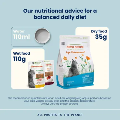 Almo Nature Holistic -säästöpakkaus 4  x 2 kg - Oily Fish & Rice