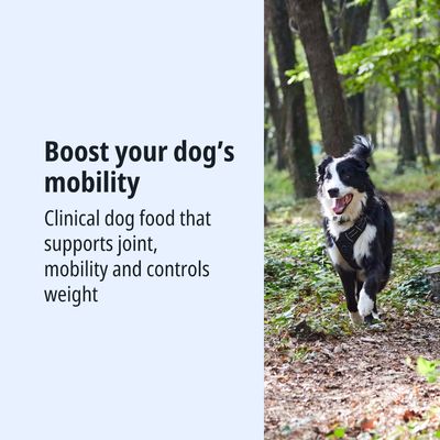 Migliora la mobilità del tuo cane. Alimento clinico per cani che favorisce le articolazioni, la mobilità e controlla il peso.