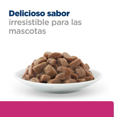 Tarrina con trozos de carne marrón en salsa, Texto: Delicioso sabor, irresistible para las mascotas.