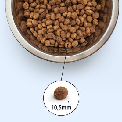 Ciotola in metallo con crocchette marroni, vista dettagliata di una crocchetta con diametro evidenziato di 10,5 mm.