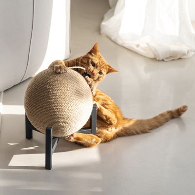 Kattenkrabbel speeltje in bolvorm van sisal op zwart frame, gebruikt door een oranje kat.