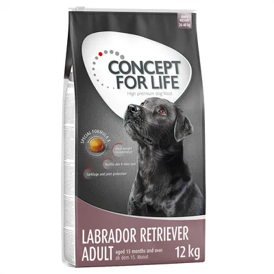 Concept for Life Labrador Retriever Adult, koiranruoka yli 15 kk, 12 kg. Erityiskoostumus: ihannepaino, terve iho ja kiiltävä turkki, nivelten ja rustojen suoja.