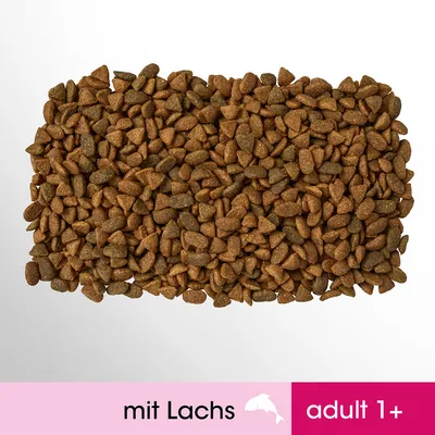 Suché krmivo, různé tvary granulí. Viditelný text: mit Lachs, adult 1+.