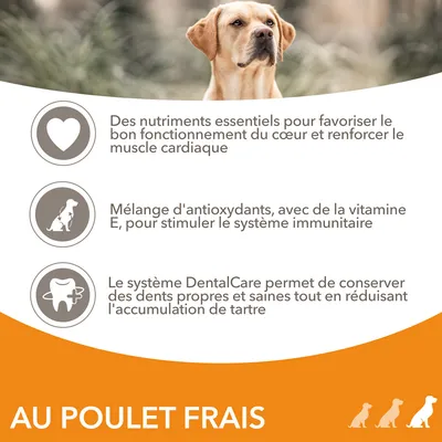 Des nutriments essentiels pour le cœur, mélange d'antioxydants avec vitamine E pour l’immunité, système DentalCare pour dents propres, texte : AU POULET FRAIS