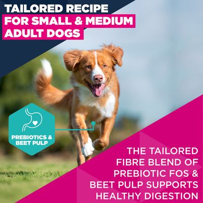 Eukanuba Premium Nutrition Adult Small & Medium Breed lazac