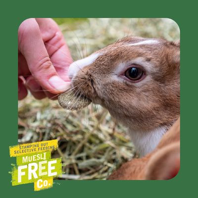 Hand feeds rabbit with food pellet, text in image: Stamping out selective feeding, Muesli Free Co.