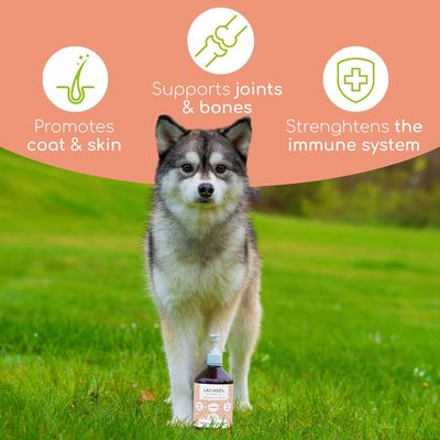 Wolfsbacher Natur Salmon Oil for Dogs
